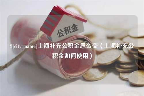 库尔勒上海补充公积金怎么交（上海补充公积金如何使用）